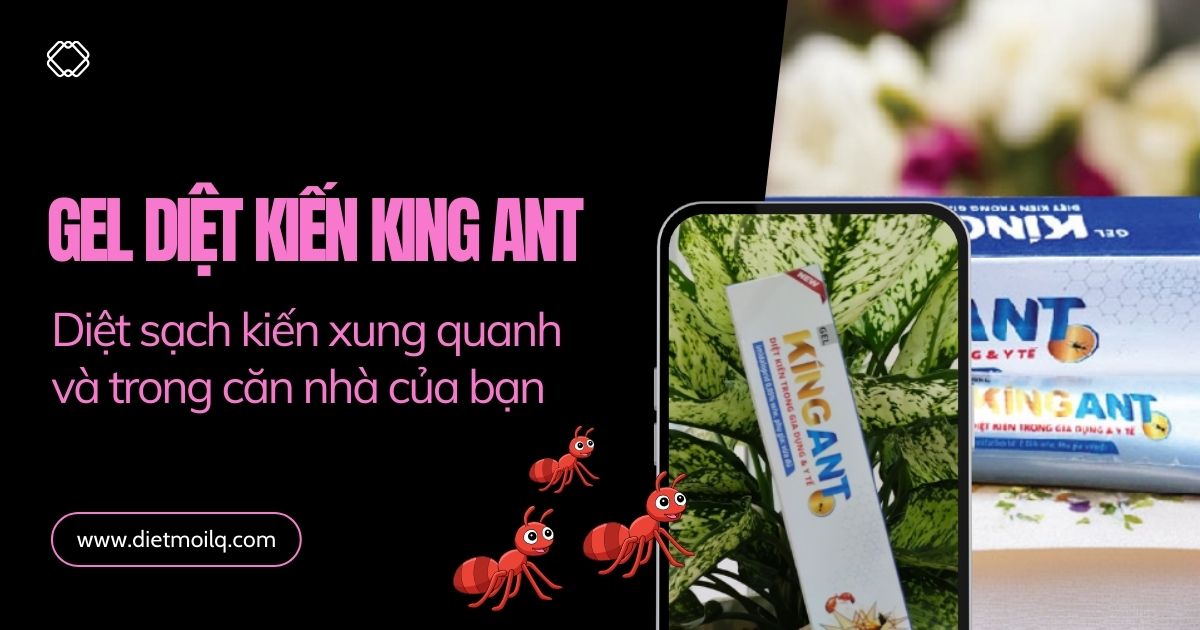 Gel diet kien King Ant
