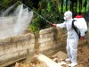 Công ty diệt muỗi uy tín giá rẻ nhất tại Nghệ An
