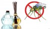 Cách đuổi muỗi bằng sả bạn đã thử dùng cho gia đình mình hay chưa?