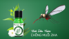 4 cách diệt muỗi tự nhiên không cần dùng đến thuốc
