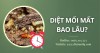 Diệt mối mất bao lâu?