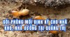 Gói phòng mối định kỳ cho nhà kho, nhà xưởng tại Quảng Trị