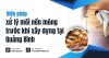 Biện pháp xử lý mối nền móng trước khi xây dựng tại Quảng Bình