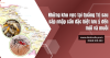 Những khu vực tại Quảng Trị sau sáp nhập cần đặc biệt lưu ý đến mối và muỗi