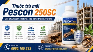 Thuốc trừ mối Pescon 250SC – Giải pháp kiểm soát mối cho công trình xây dựng