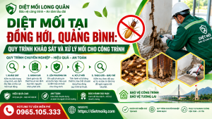 Diệt mối tại Đồng Hới, Quảng Bình: Quy trình khảo sát và xử lý mối cho công trình