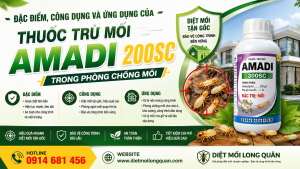 Đặc điểm, công dụng và ứng dụng của thuốc trừ mối Amadi 200SC trong phòng chống mối