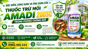Đặc điểm, công dụng và ứng dụng của thuốc trừ mối Amadi 200SC trong phòng chống mối