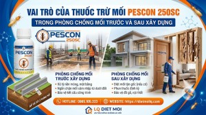 Vai trò của thuốc trừ mối Pescon 250SC trong phòng chống mối trước và sau xây dựng