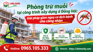 Phòng trừ muỗi tại công trình xây dựng ở Đồng Hới: Giải pháp giảm nguy cơ dịch bệnh cho công nhân