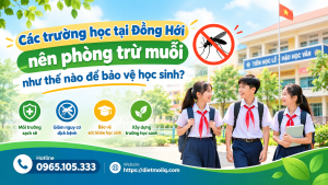 Các trường học tại Đồng Hới nên phòng trừ muỗi như thế nào để bảo vệ học sinh?