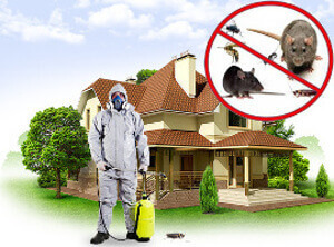 1485301641464 bulletin 1 1 1