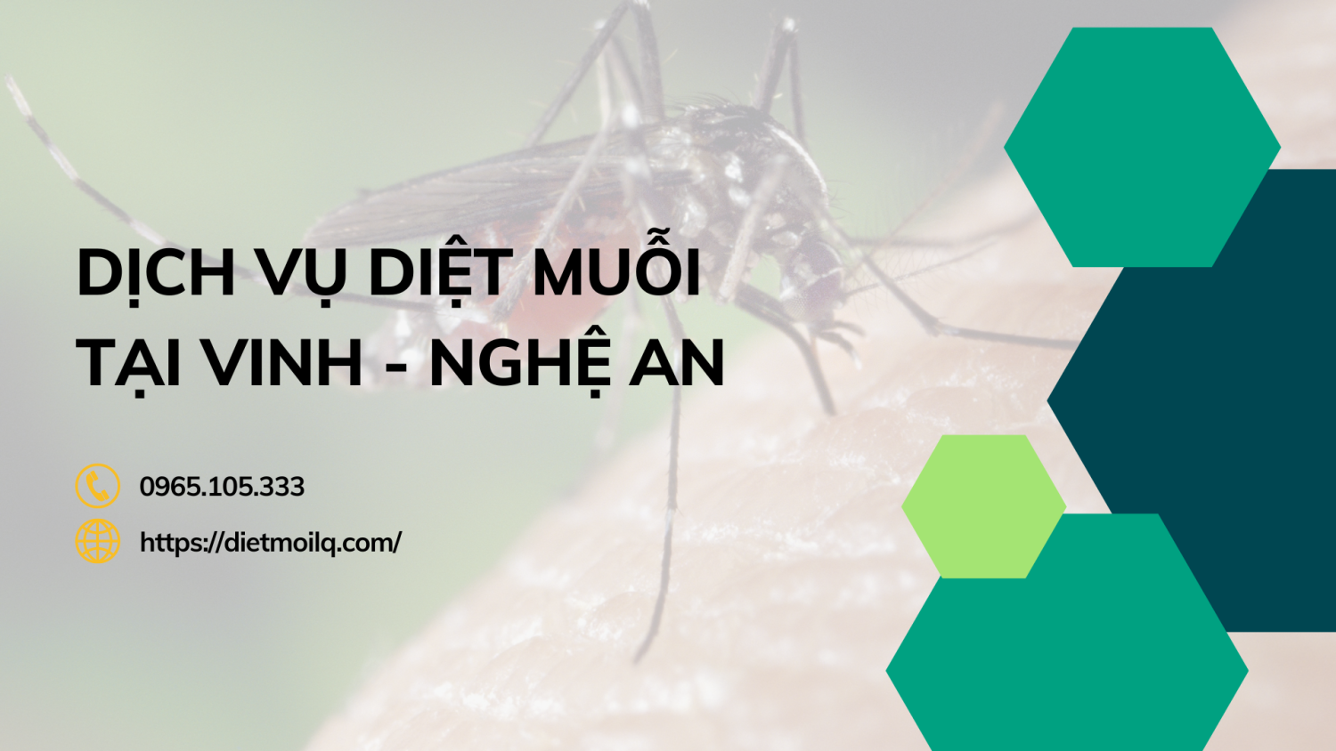 Dịch vụ diệt muỗi tại Vinh - Nghệ An
