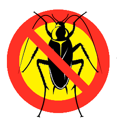 Dịch vụ diệt gián