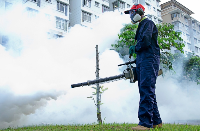 Công ty diệt muỗi ở Quảng Trị