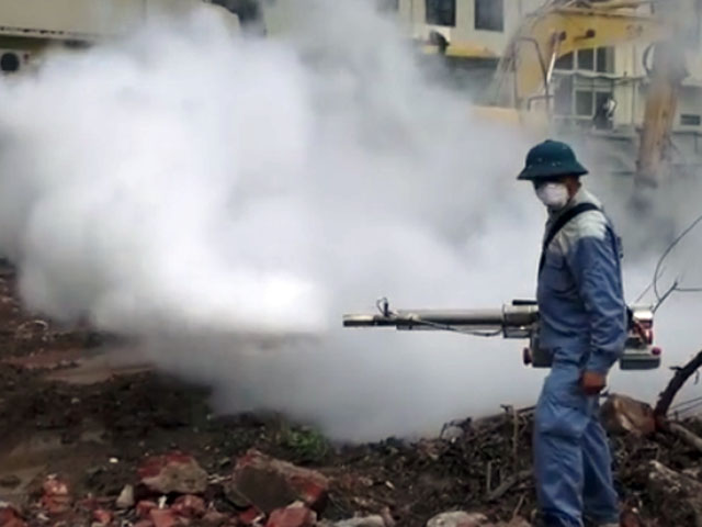 Mẹo đuổi muỗi cho gia đình từ công ty diệt muỗi ở Quảng Bình