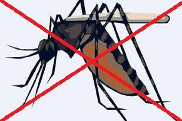 Công ty diệt muỗi ở Quảng Trị: Mẹo đuổi muỗi chỉ bằng một quả chanh