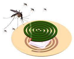 Công ty diệt muỗi tại Quảng Bình: Sử dụng hương muỗi trong nhà bạn