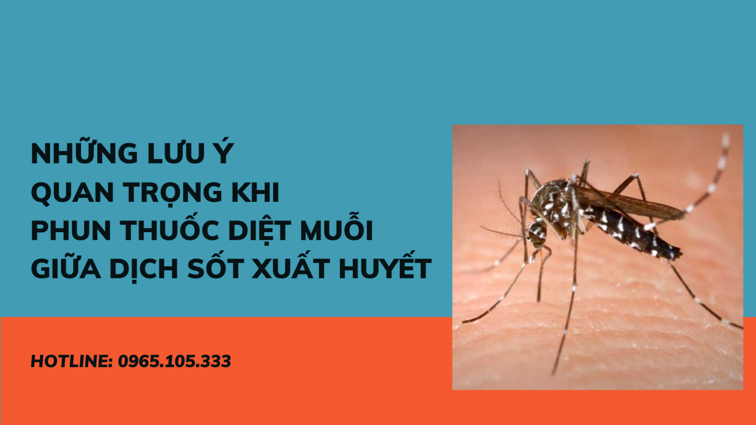 Những lưu ý quan trọng khi phun thuốc diệt muỗi giữa dịch sốt xuất huyết