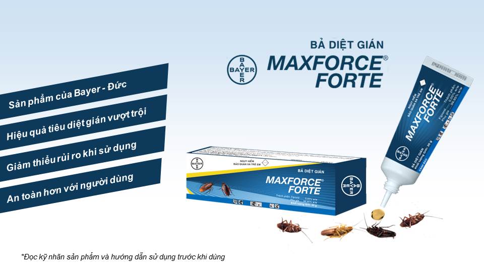 Gel diệt gián Maxforce Forte