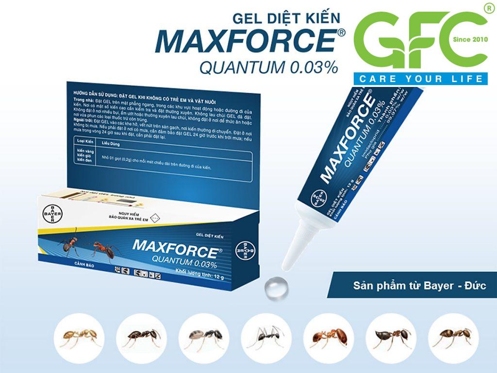 Maxforce Quantum trừ kiến 1024x768