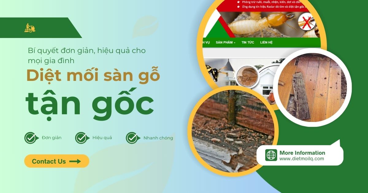 Diệt mối sàn gỗ tận gốc