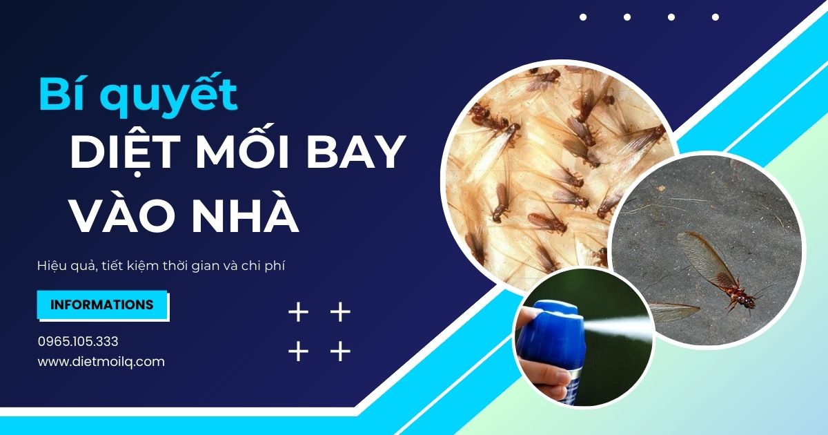 Bí quyết diệt mối bay vào nhà