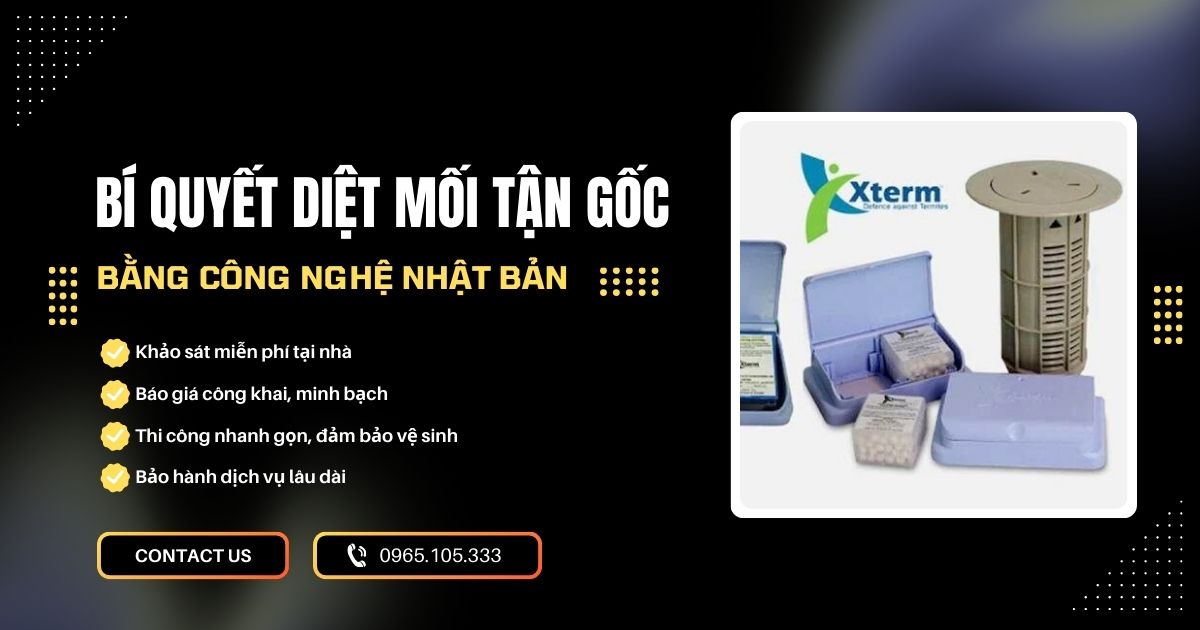 Bí quyết diệt mối tận gốc bằng công nghệ Nhật Bản