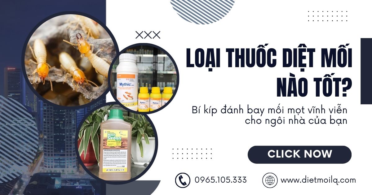 Loại thuốc diệt mối nào tốt? Bí kíp đánh bay mối mọt vĩnh viễn cho ngôi nhà của bạn