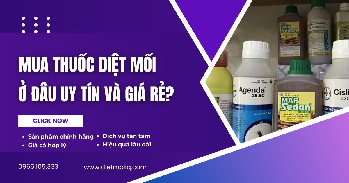 Mua thuốc diệt mối ở đâu uy tín và giá rẻ?