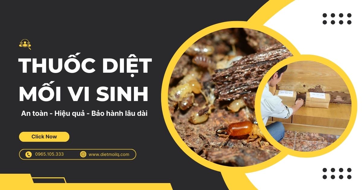 Thuốc diệt mối vi sinh an toàn, hiệu quả, bảo hành lâu dài