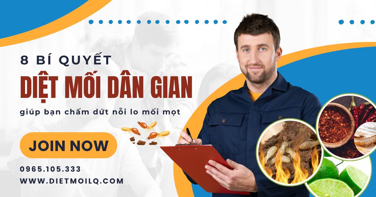 8 bí quyết diệt mối dân gian giúp bạn chấm dứt nỗi lo mối mọt