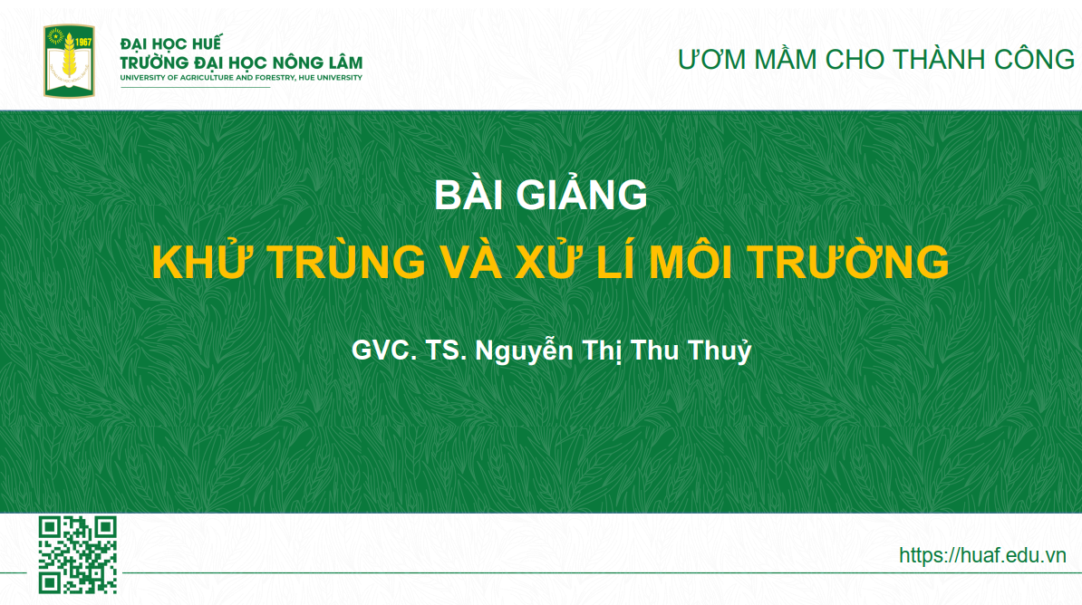 tham gia lop hoc khu trung va xy ly moi truong (1)