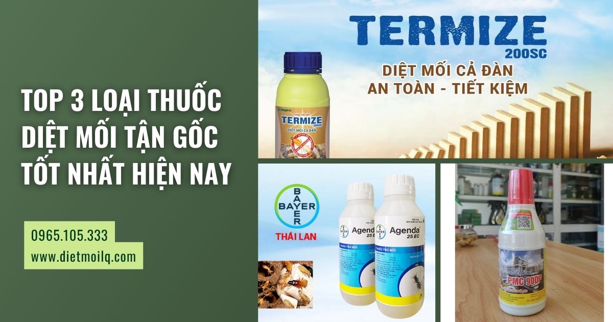 TOP 3 loại thuốc diệt mối tận gốc tốt nhất hiện nay