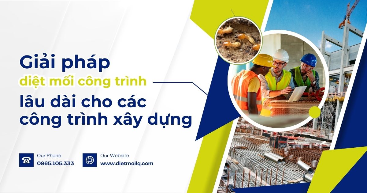 Giải pháp diệt mối công trình lâu dài cho các công trình xây dựng