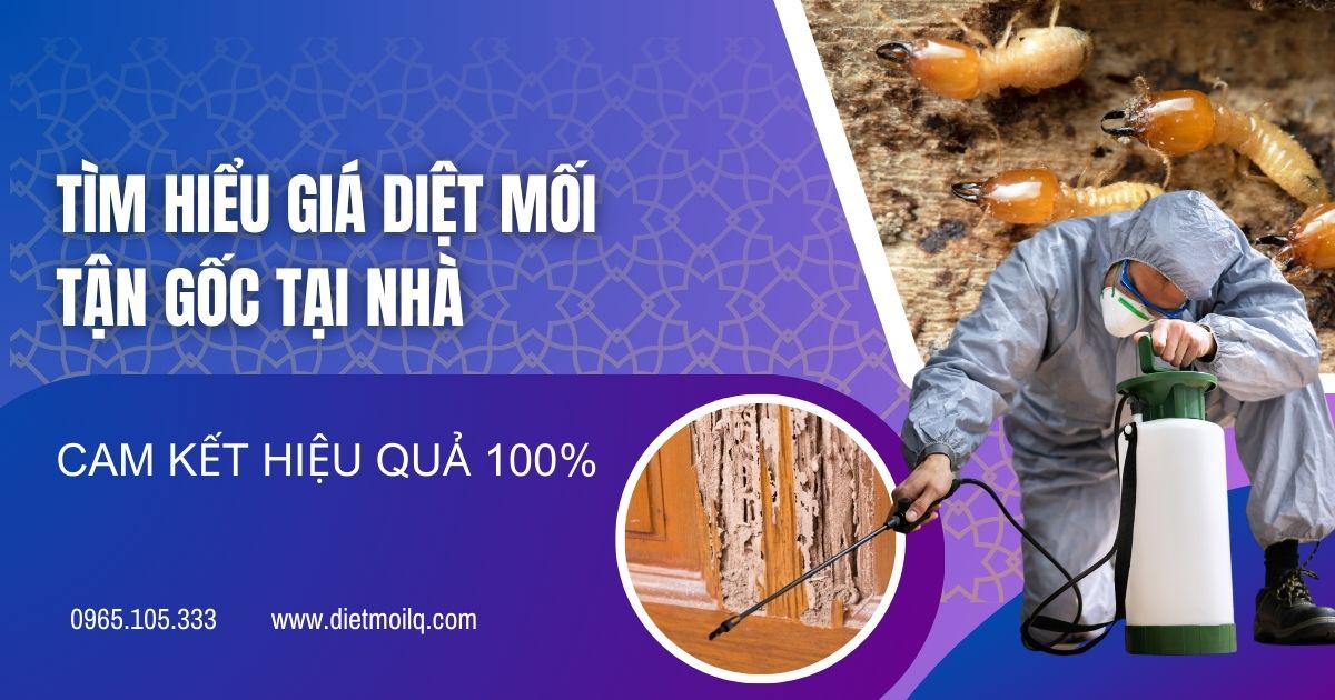 Tìm hiểu giá diệt mối tận gốc tại nhà