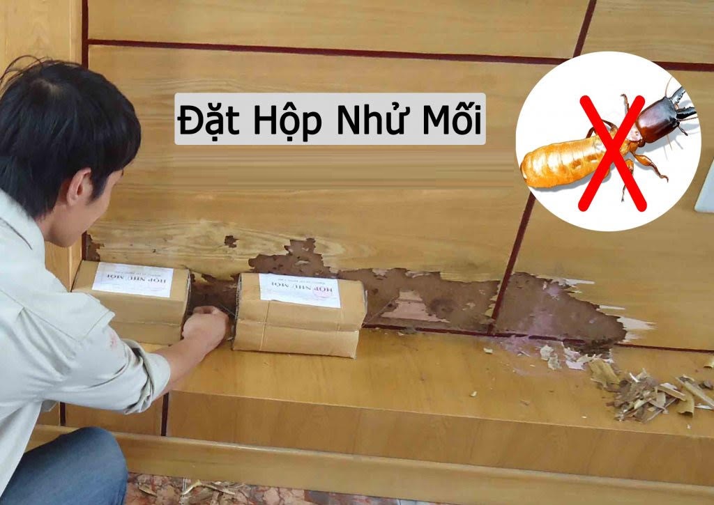 hop thuoc diet moi (3)