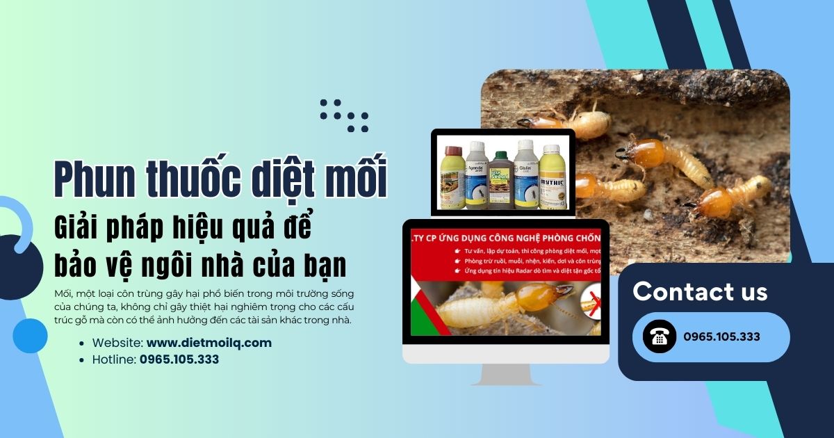 Phun thuốc diệt mối: Giải pháp hiệu quả để bảo vệ ngôi nhà của bạn