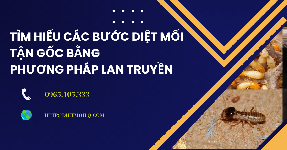 Tìm hiểu các bước diệt mối tận gốc bằng phương pháp lan truyền