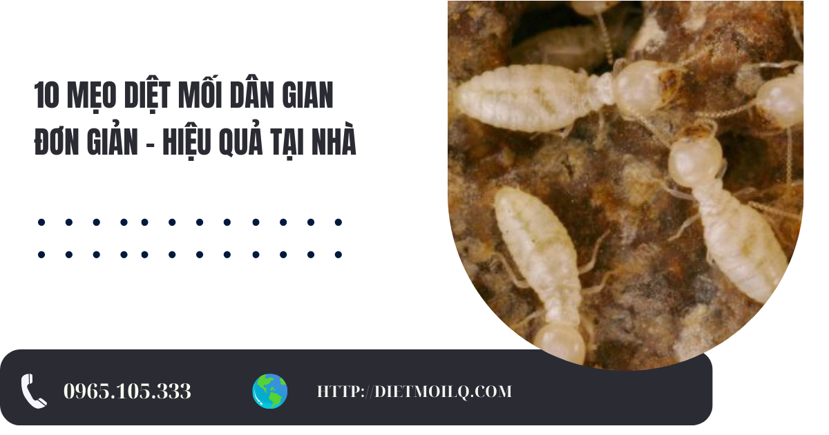 Banner Công ty diệt mối Long Quân (17)