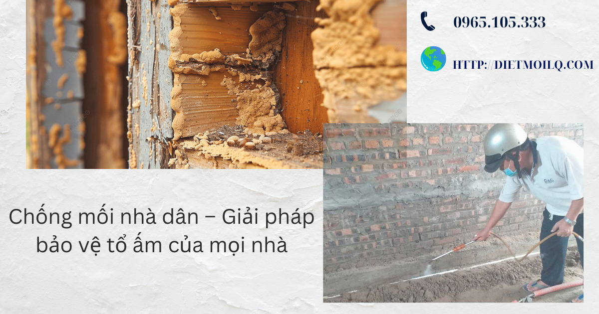 Chống mối nhà dân – Giải pháp bảo vệ tổ ấm của mọi nhà