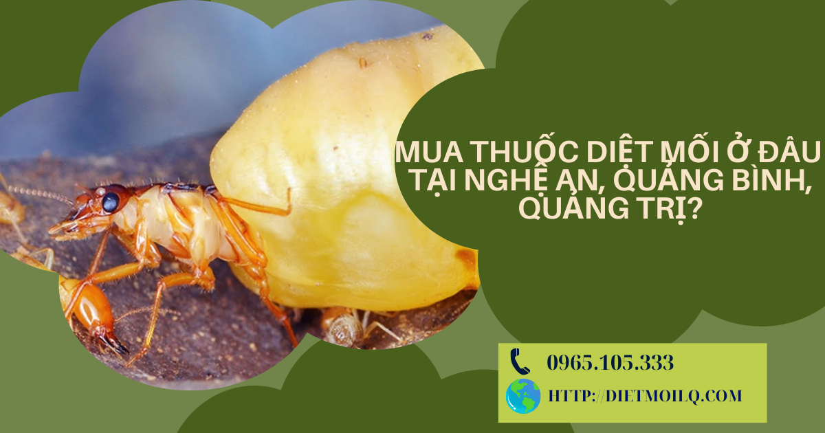 Mua thuốc diệt mối ở đâu tại Nghệ An, Quảng Bình, Quảng Trị?