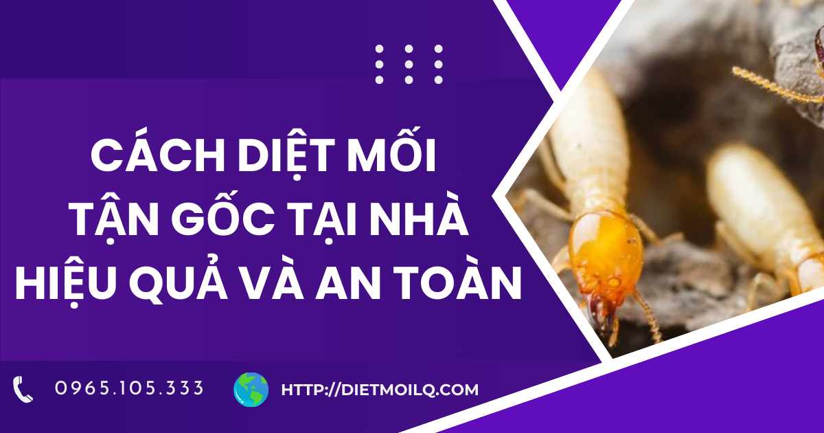 Cách diệt mối tận gốc tại nhà hiệu quả và an toàn