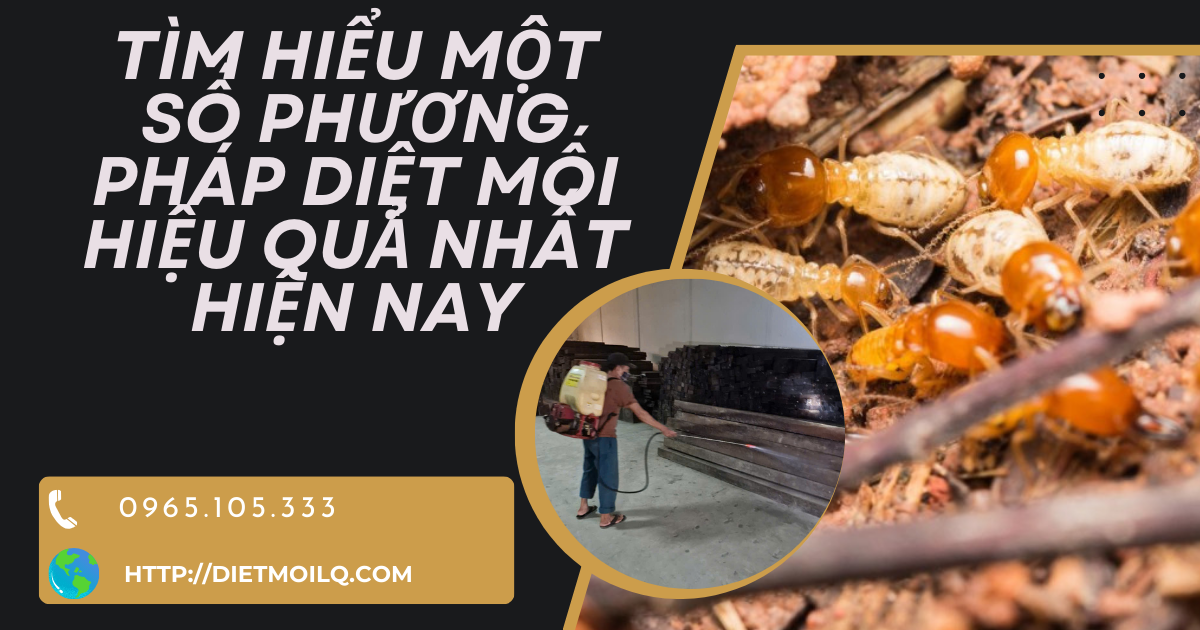 Tìm hiểu một số phương pháp diệt mối hiệu quả nhất hiện nay