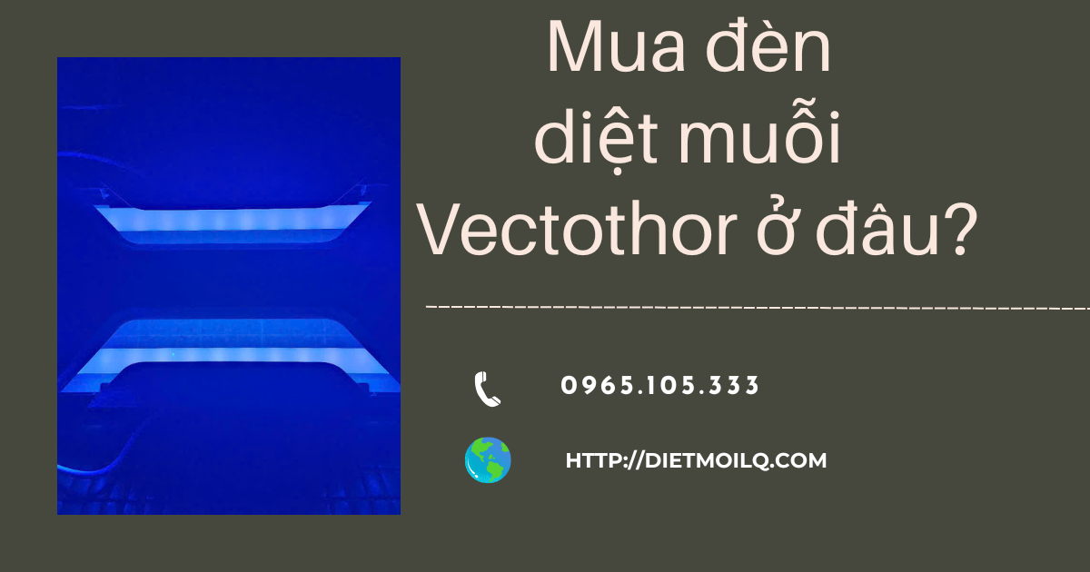 Mua đèn diệt muỗi Vectothor ở đâu?