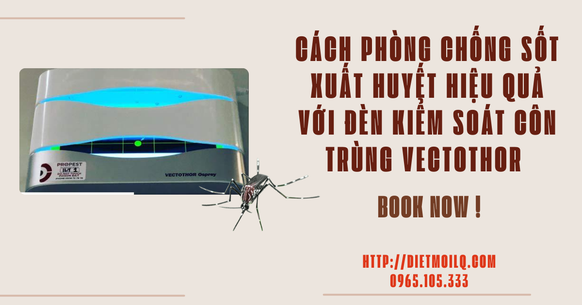 Cách phòng chống sốt xuất huyết hiệu quả với đèn kiểm soát côn trùng Vectothor
