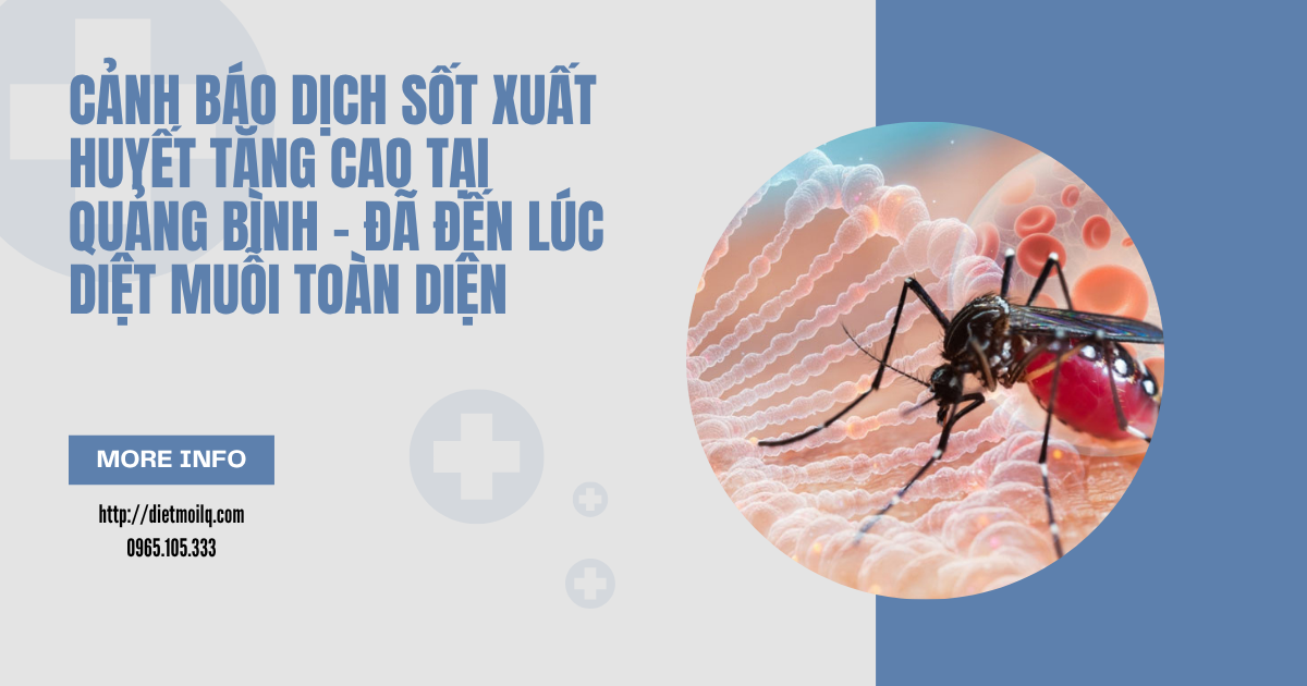 Cảnh báo dịch sốt xuất huyết tăng cao tại Quảng Bình - Đã đến lúc diệt muỗi toàn diện