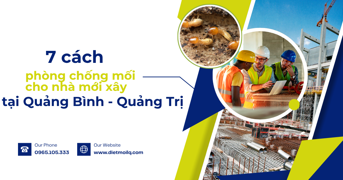 7 cách phòng chống mối cho nhà mới xây tại Quảng Bình - Quảng Trị
