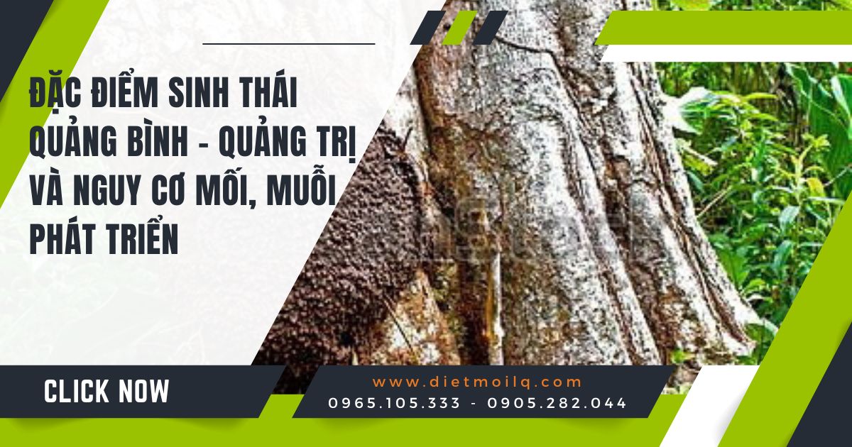 Banner Công ty diệt mối Long Quân (2)