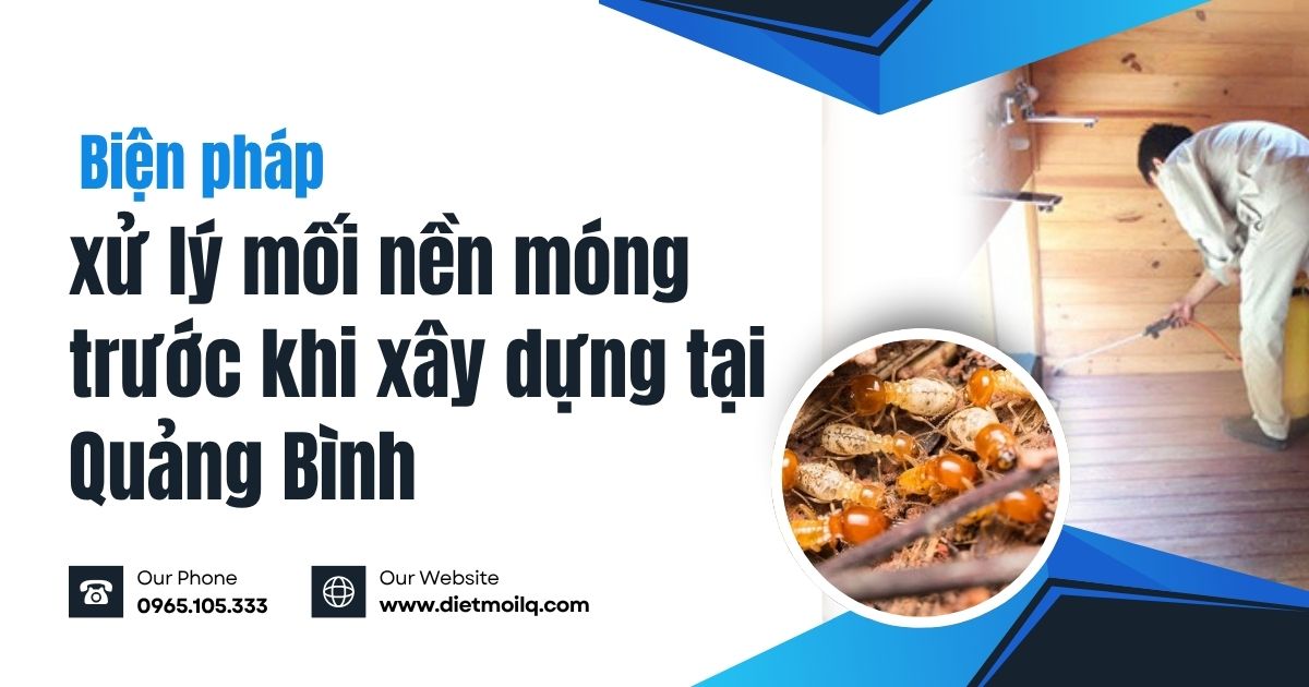 Biện pháp xử lý mối nền móng trước khi xây dựng tại Quảng Bình